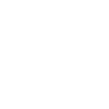 Badger Gutters Logo