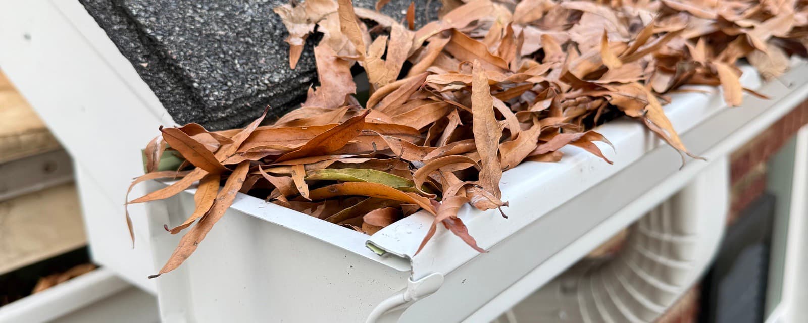 Leaves being cleaned out of a gutter in Charlotte, NC